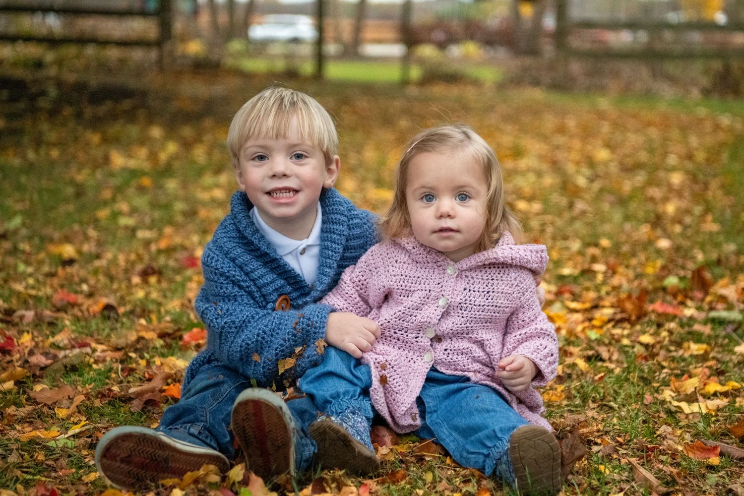 Two children in blue and pink sweaters sitting on autumn leaves outdoors.