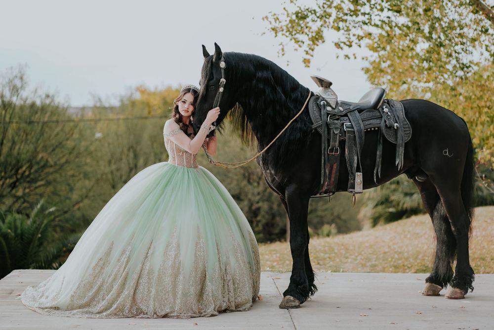Mint green ballgown poses next to majestic black horse on outdoor pathway.