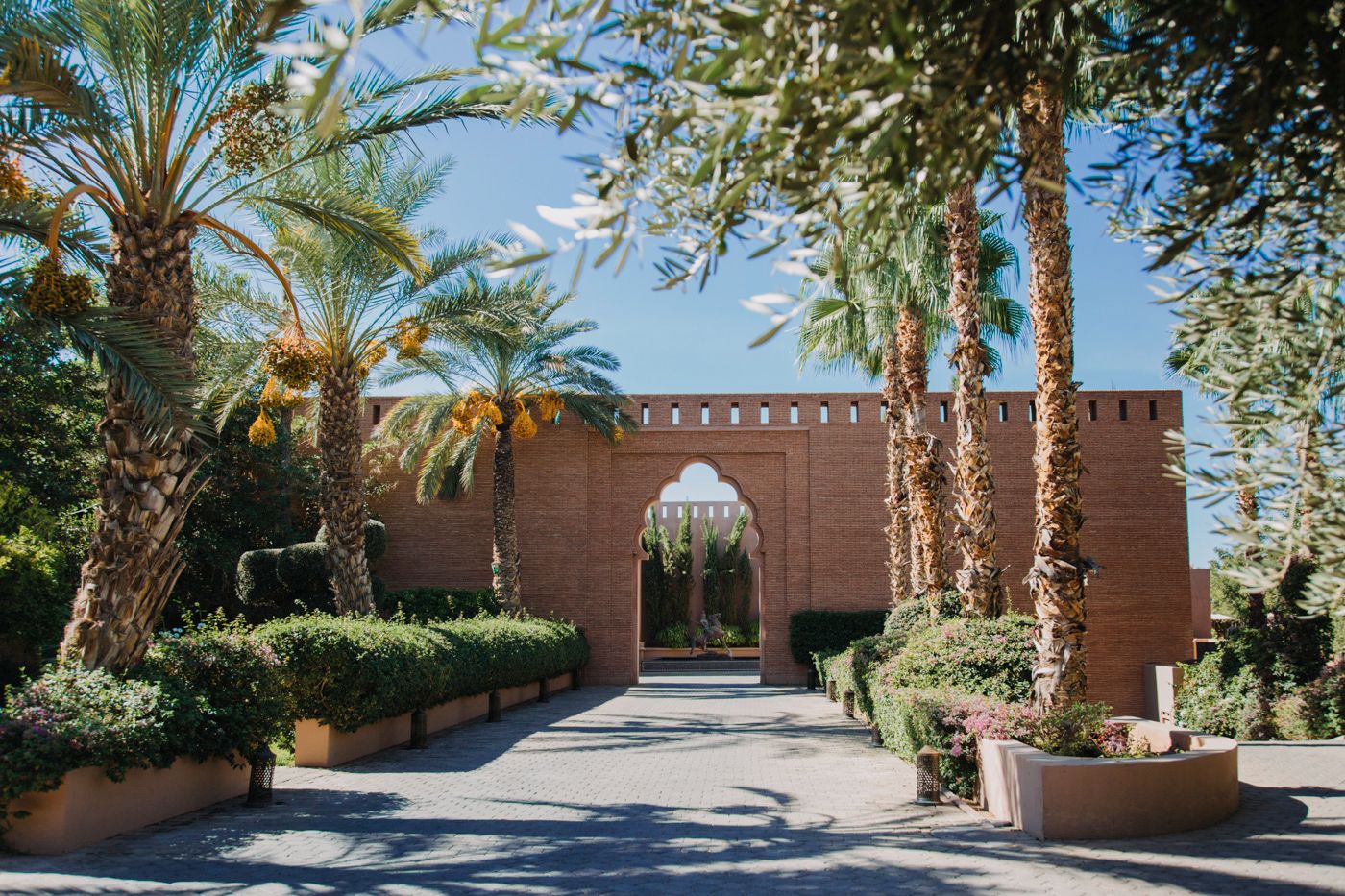 Palm-lined pathway leading to ornate terracotta fortress entrance gate.