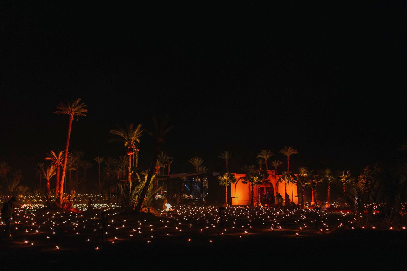 Palm trees and desert landscape illuminated by warm glowing lights against a dark night sky.