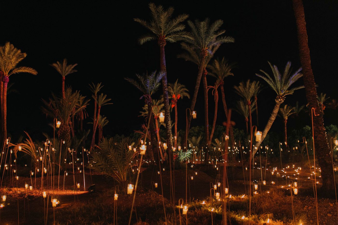 Palm trees illuminated with string lights creating a magical outdoor evening atmosphere.