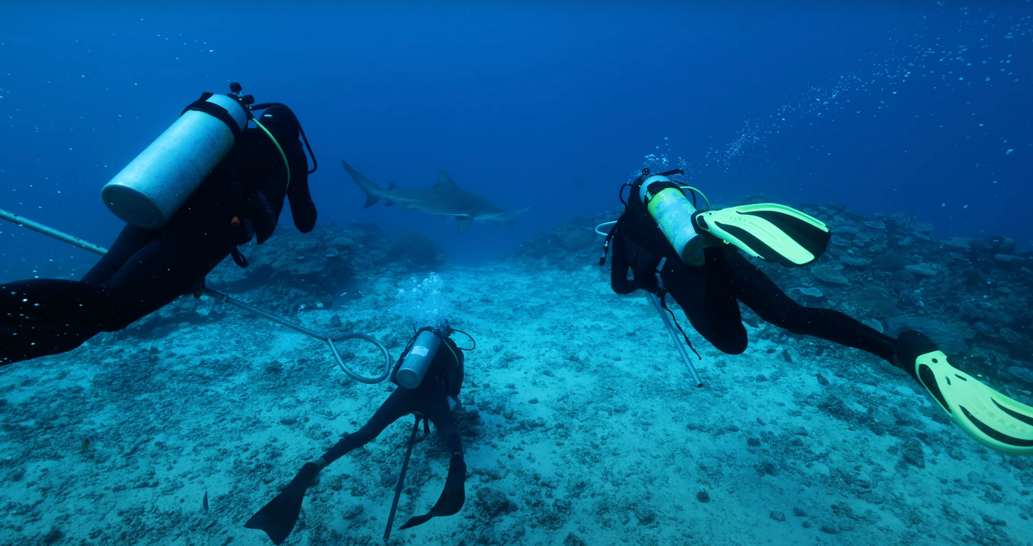 Three scuba divers explore deep underwater reef landscape.