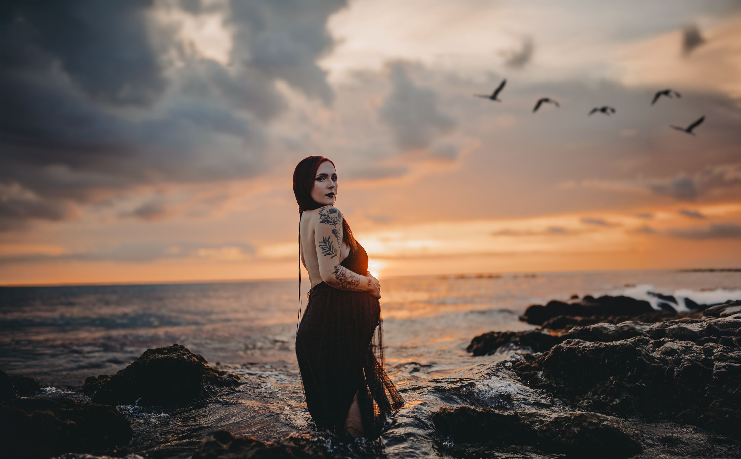 A silhouetted figure stands on rocky shore at sunset with birds flying overhead.