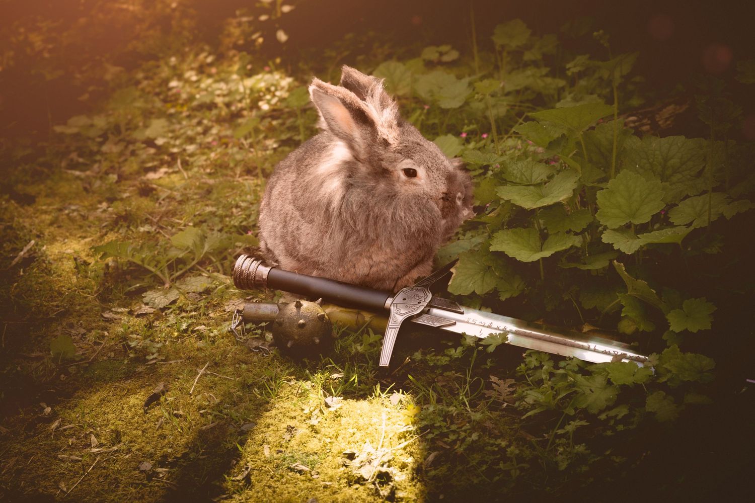 A fluffy brown rabbit sitting on a sword in a lush green garden with soft golden light filtering through.
