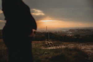 Silhouette overlooking city landscape during dramatic sunset.