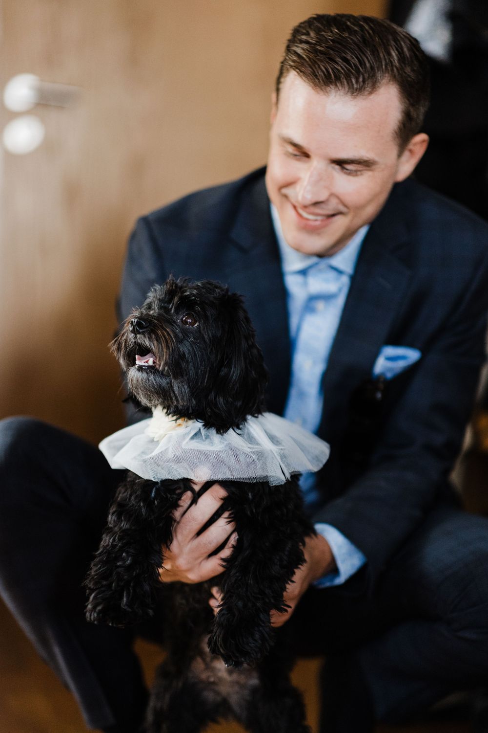 A small black dog wearing a white collar sits with someone in a navy suit.