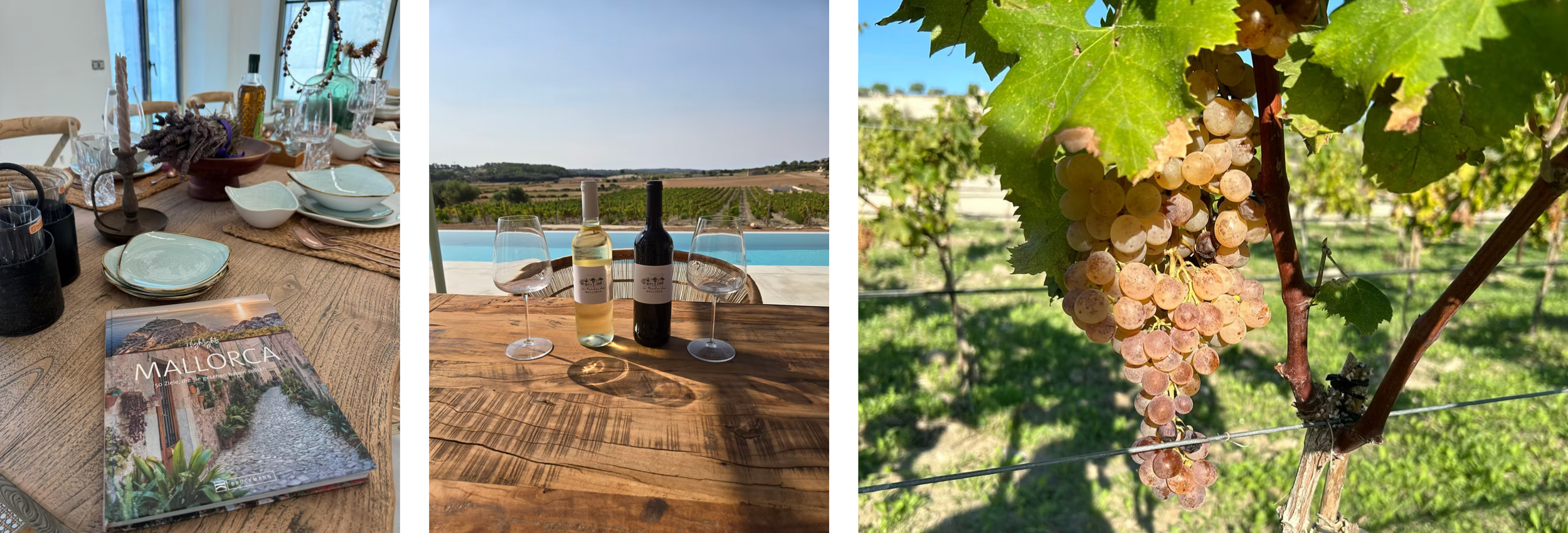 A scenic collage of wine country featuring vineyard rows, wine glasses, tasting rooms and lush grape vines in sunlight.