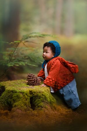 A small figure in a blue knit hat and red sweater explores a mossy log in a misty woodland setting.  Autumn colours.