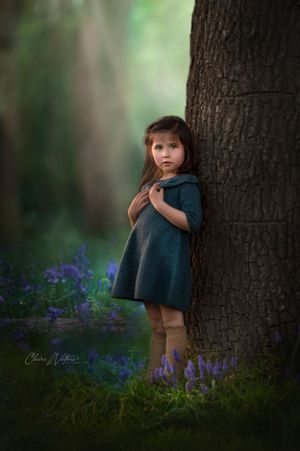 A child in a navy dress stands near a tree trunk surrounded by purple wildflowers in a dreamy forest setting. Blue Bell photoshoots St Alban