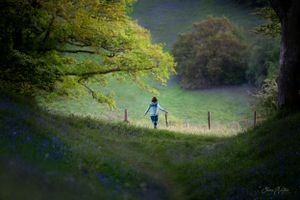 A solitary figure walks along a misty forest path lined with bluebells and illuminated by ethereal sunlight.