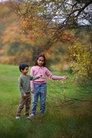 Two children explore autumn foliage together in a grassy field during fall season.