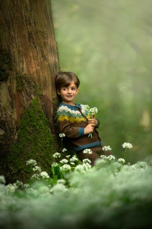 A child in a patterned sweater sits by a mossy tree trunk surrounded by delicate white wildflowers in a dreamy forest setting.