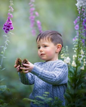 A young child in a blue sweater holds pinecones while standing among purple foxglove flowers in a garden.