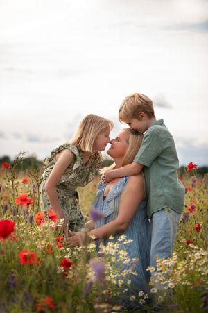Beautiful wildflower meadow scene with red poppies and white daisies in summer light.