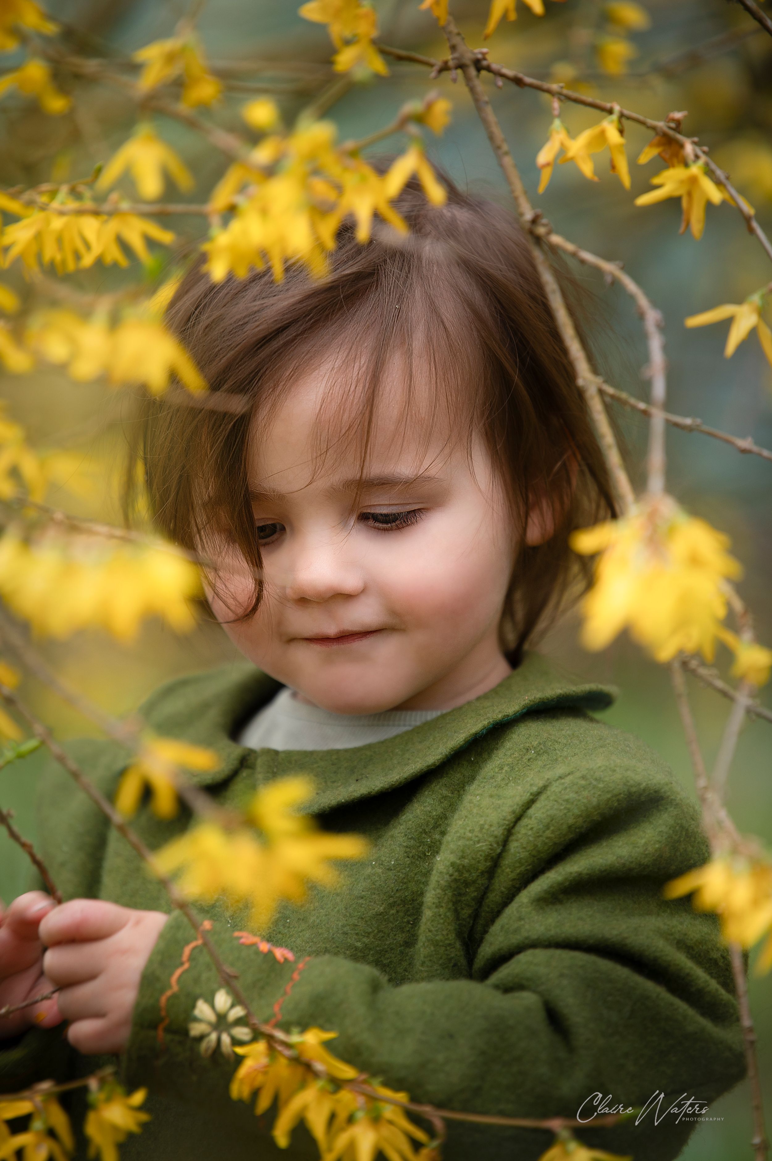 A small child in a green sweater stands amid blooming yellow forsythia branches on a spring day.