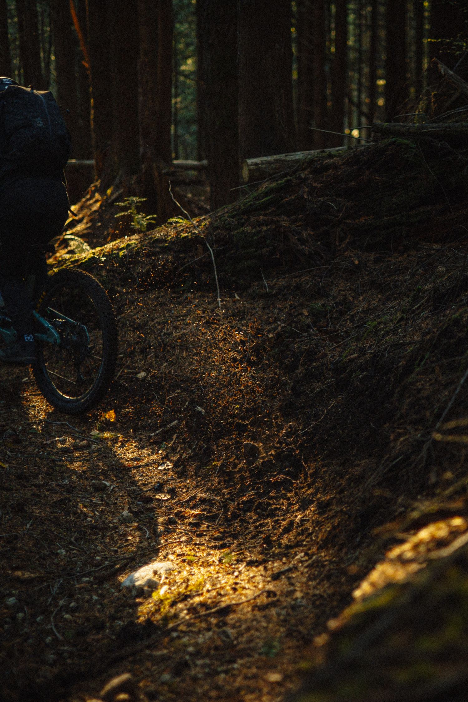 Mountain biker navigating dirt trail through dark forest with sunlit patches.