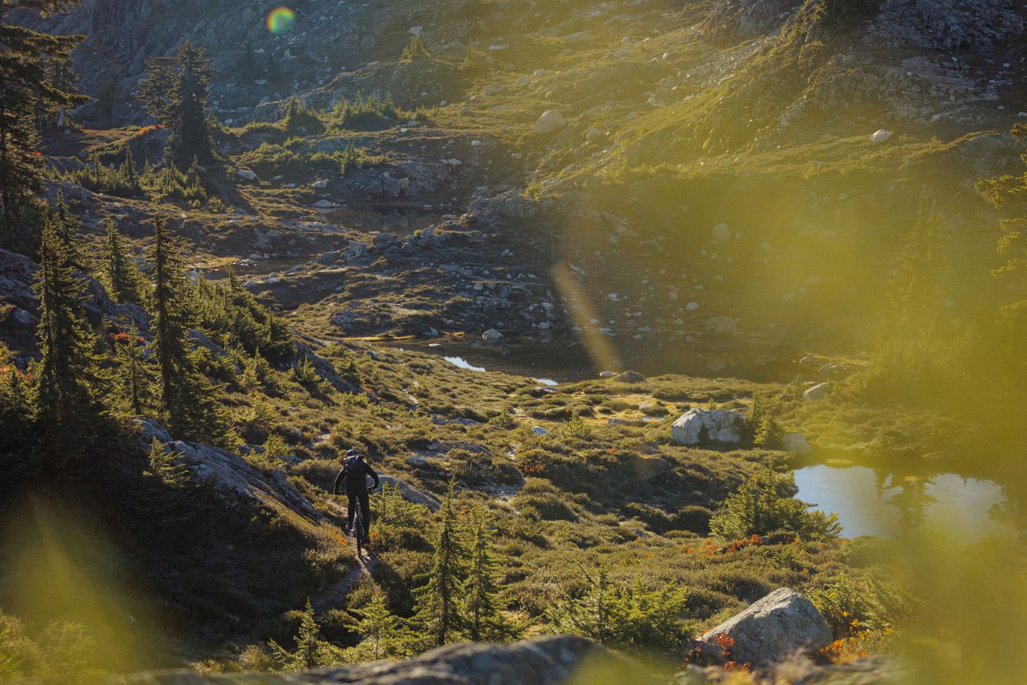 Rustic mountain cabins nestled in sunlit alpine meadow with evergreen trees.
