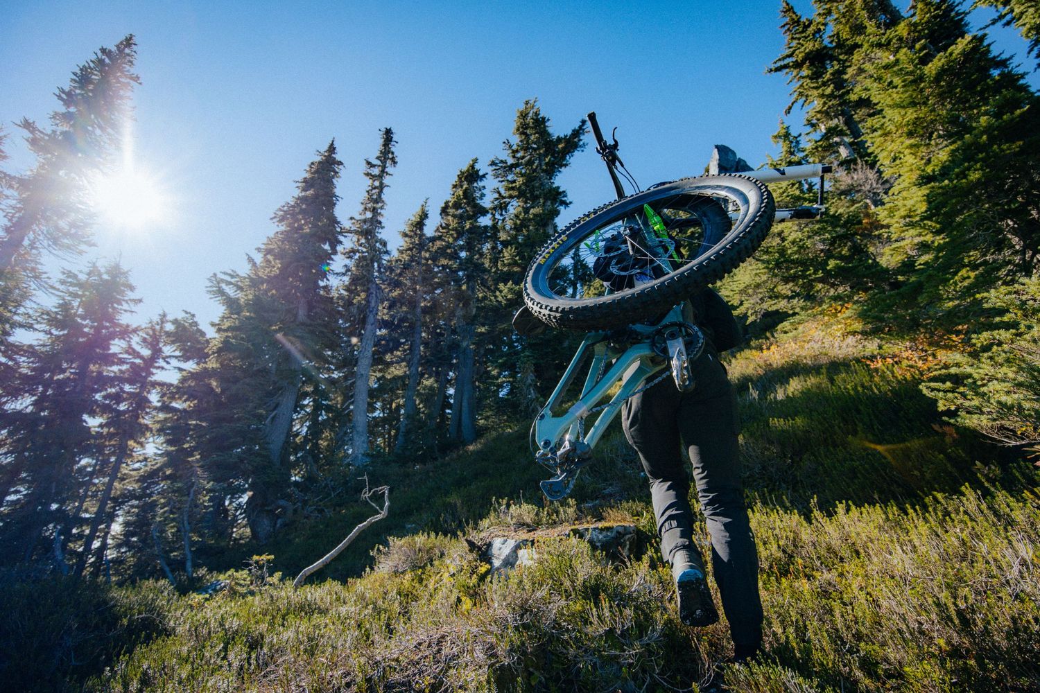 Silhouetted figure holding mountain bike overhead against sunny forest backdrop.