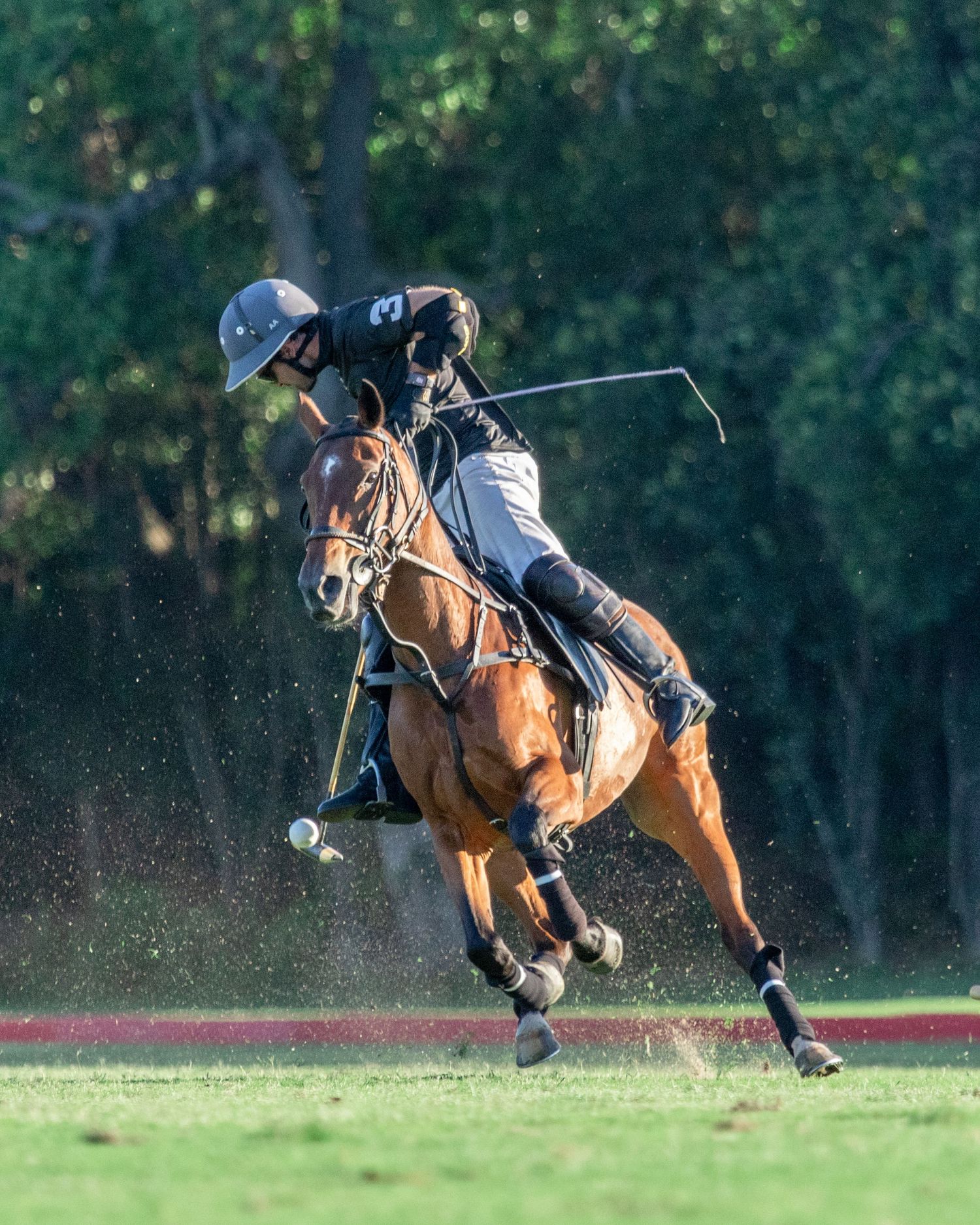 Polo