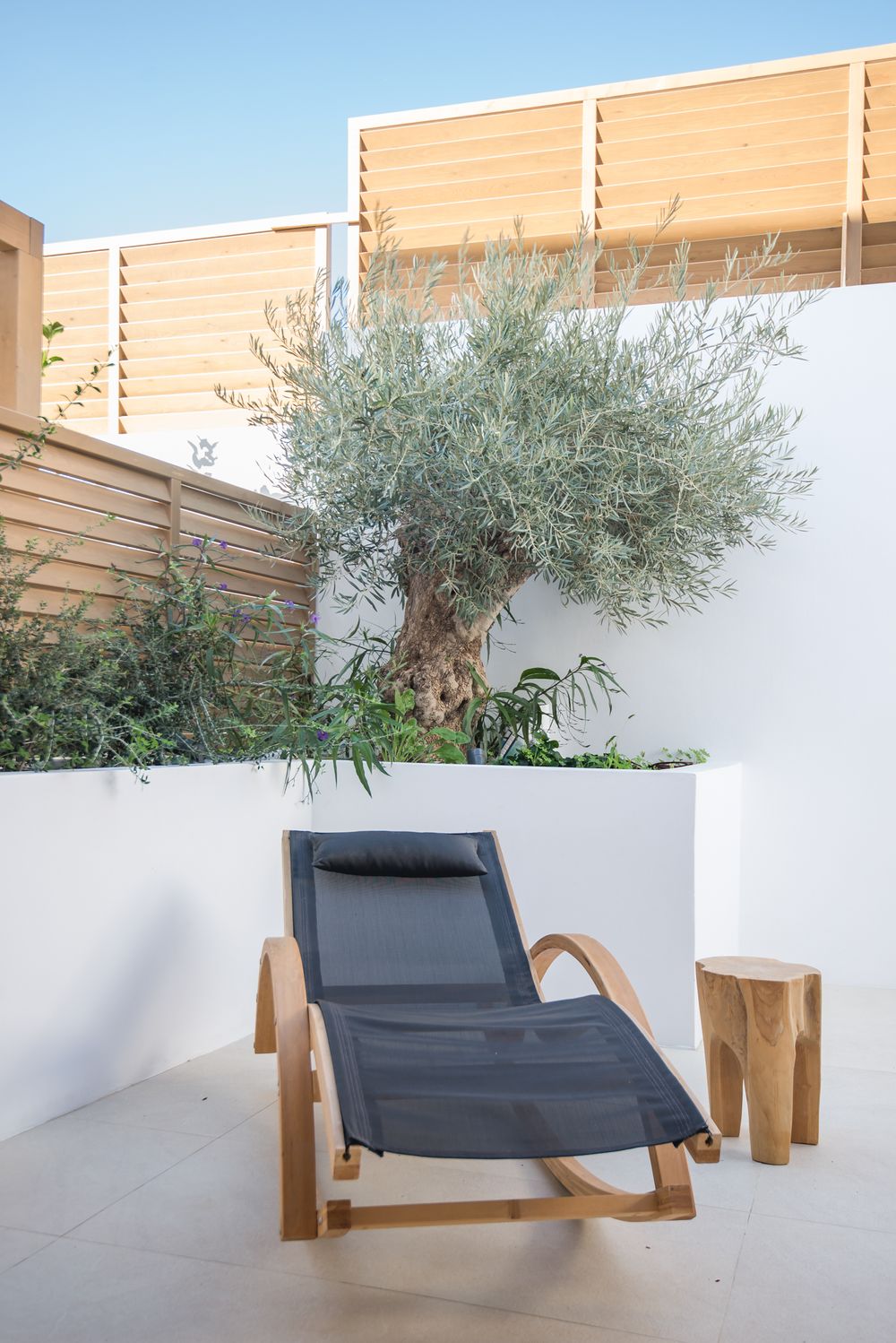 Outdoor terrace with modern lounge chair and olive tree against white walls.