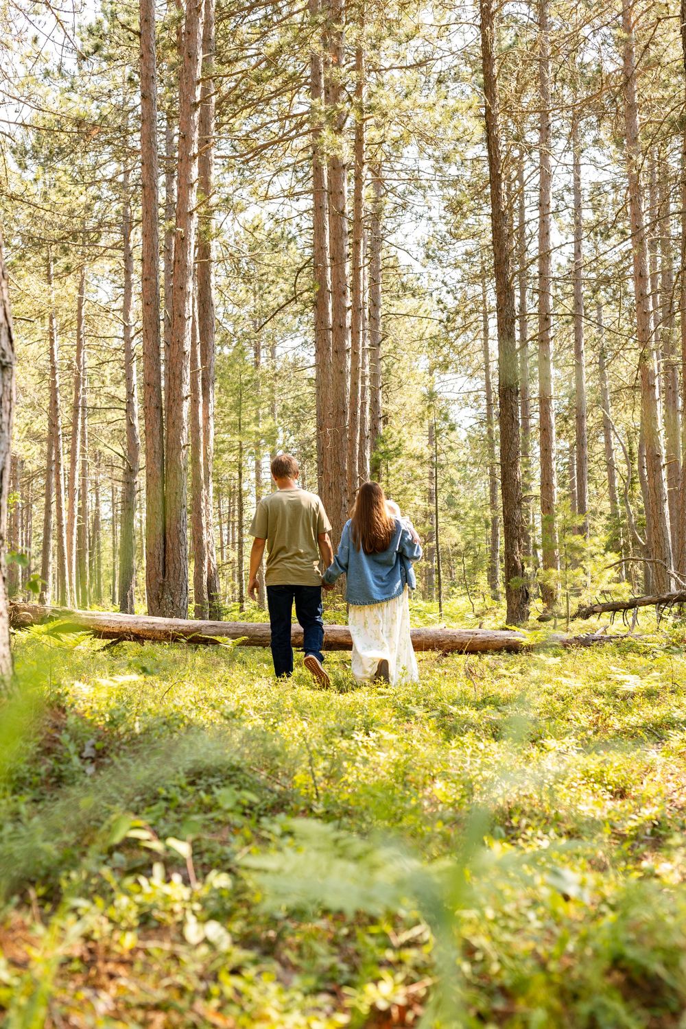 A couple walks hand in hand through a sunlit pine forest with green undergrowth and fallen logs.