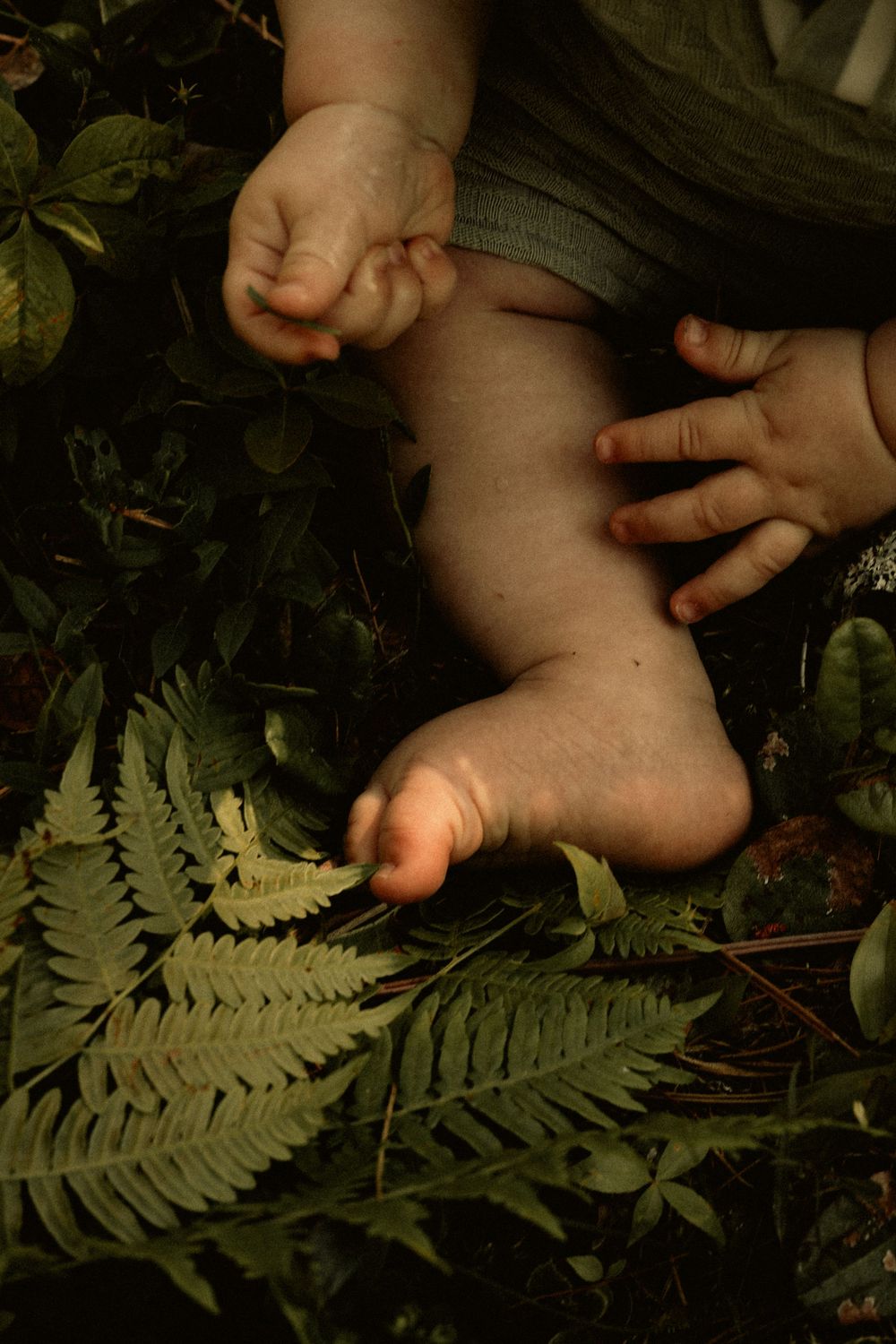 Baby feet and hands resting on lush green fern leaves in a natural outdoor setting.