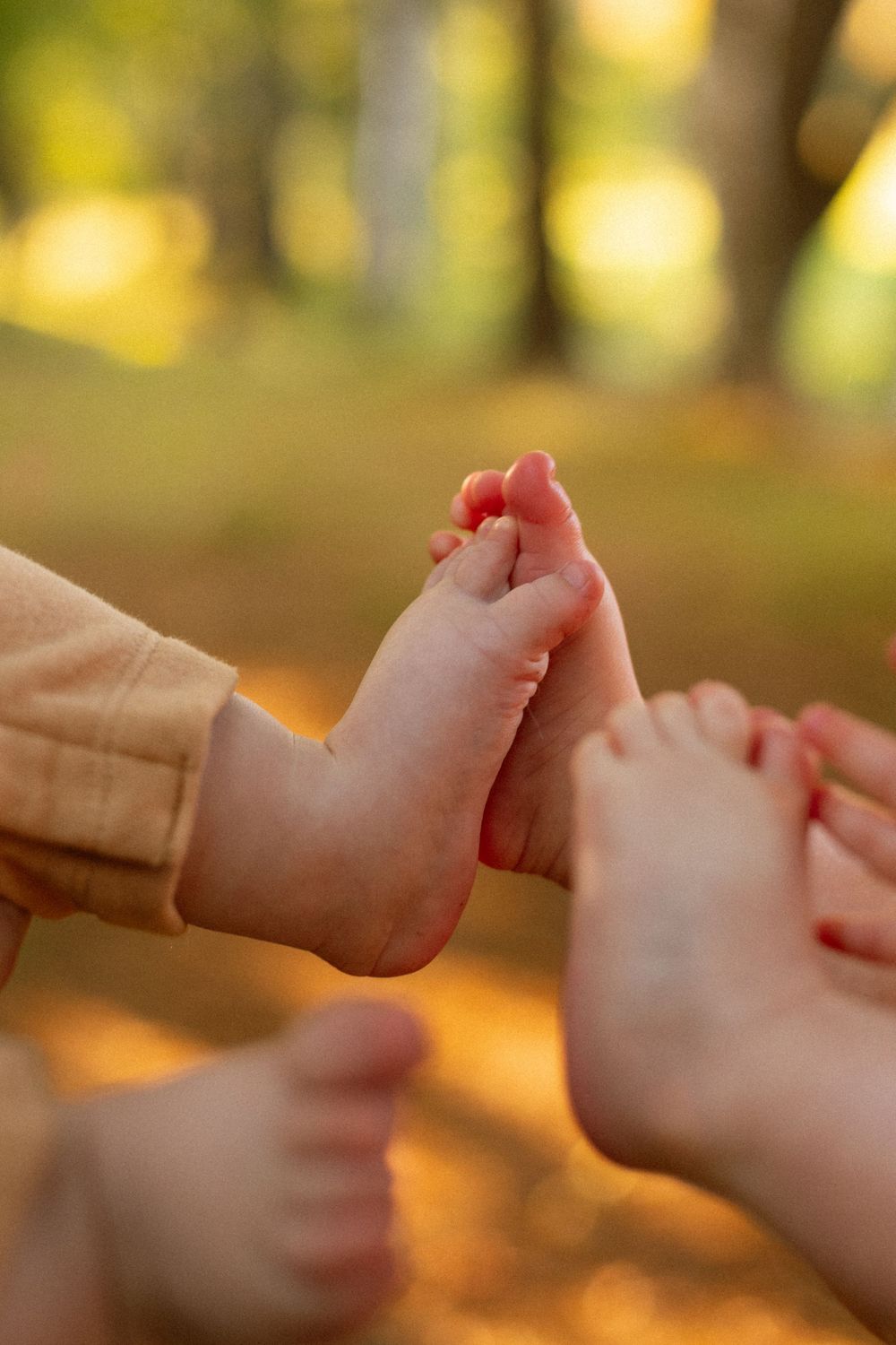 Close-up sequence of hands reaching out and touching in warm autumn sunlight.