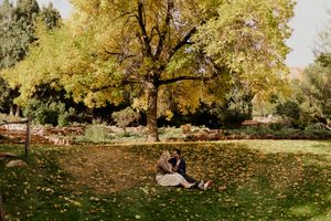 Couple sitting together under a large autumn tree in a park, surrounded by fallen yellow leaves.