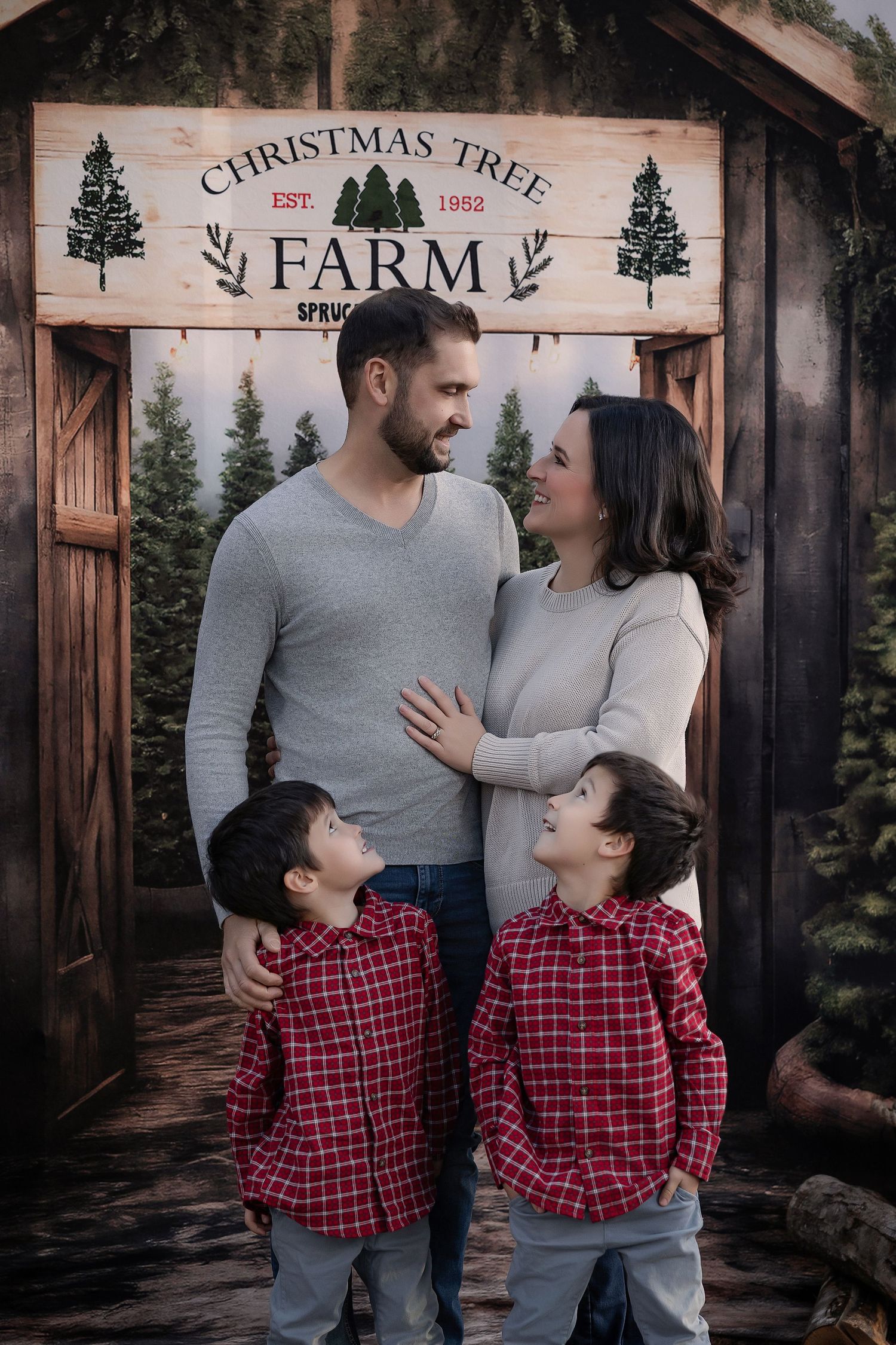 Family of four posing at Christmas Tree Farm backdrop, parents in gray, two boys in red plaid shirts.