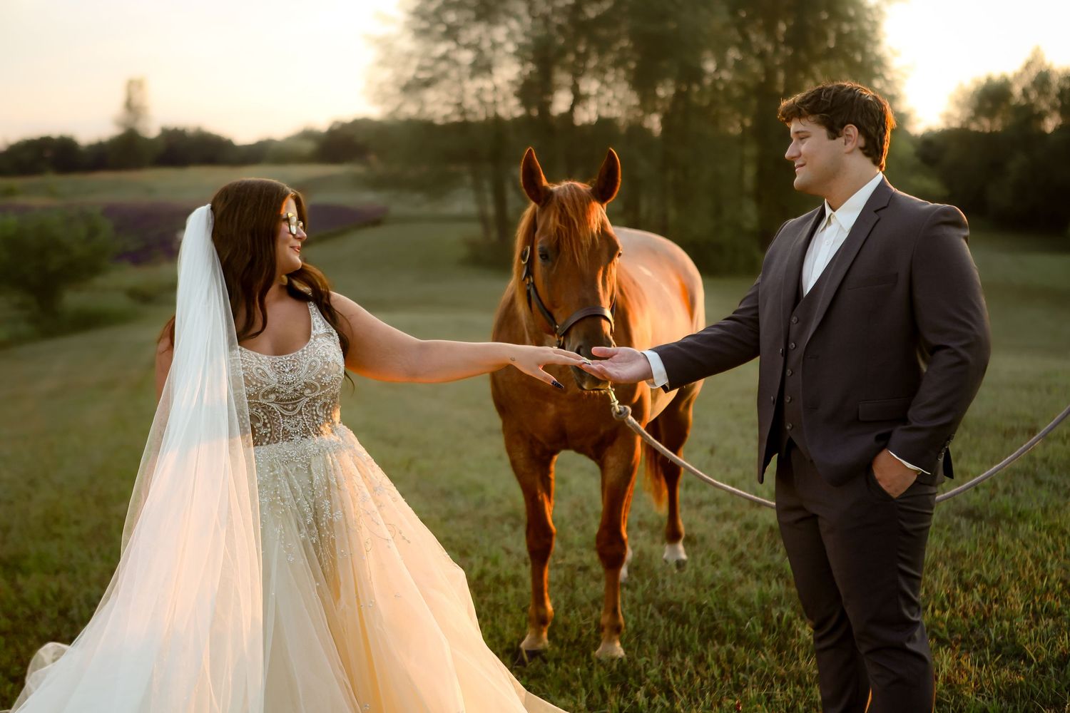 Bride and groom holding hands with a chestnut horse at golden hour in a lush green field.