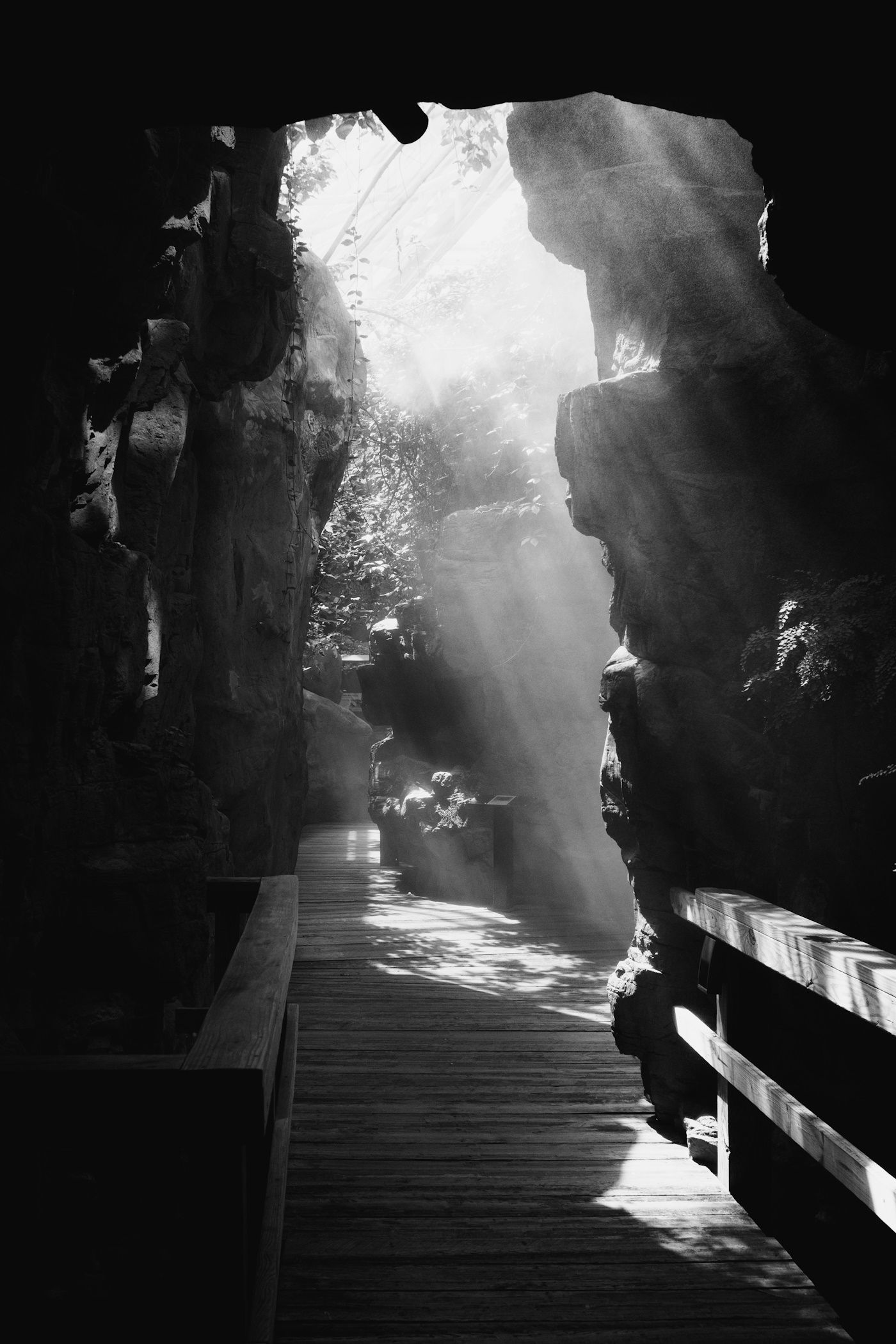 My Hidden Devotion Robin Nance Metz Art Competition Photography