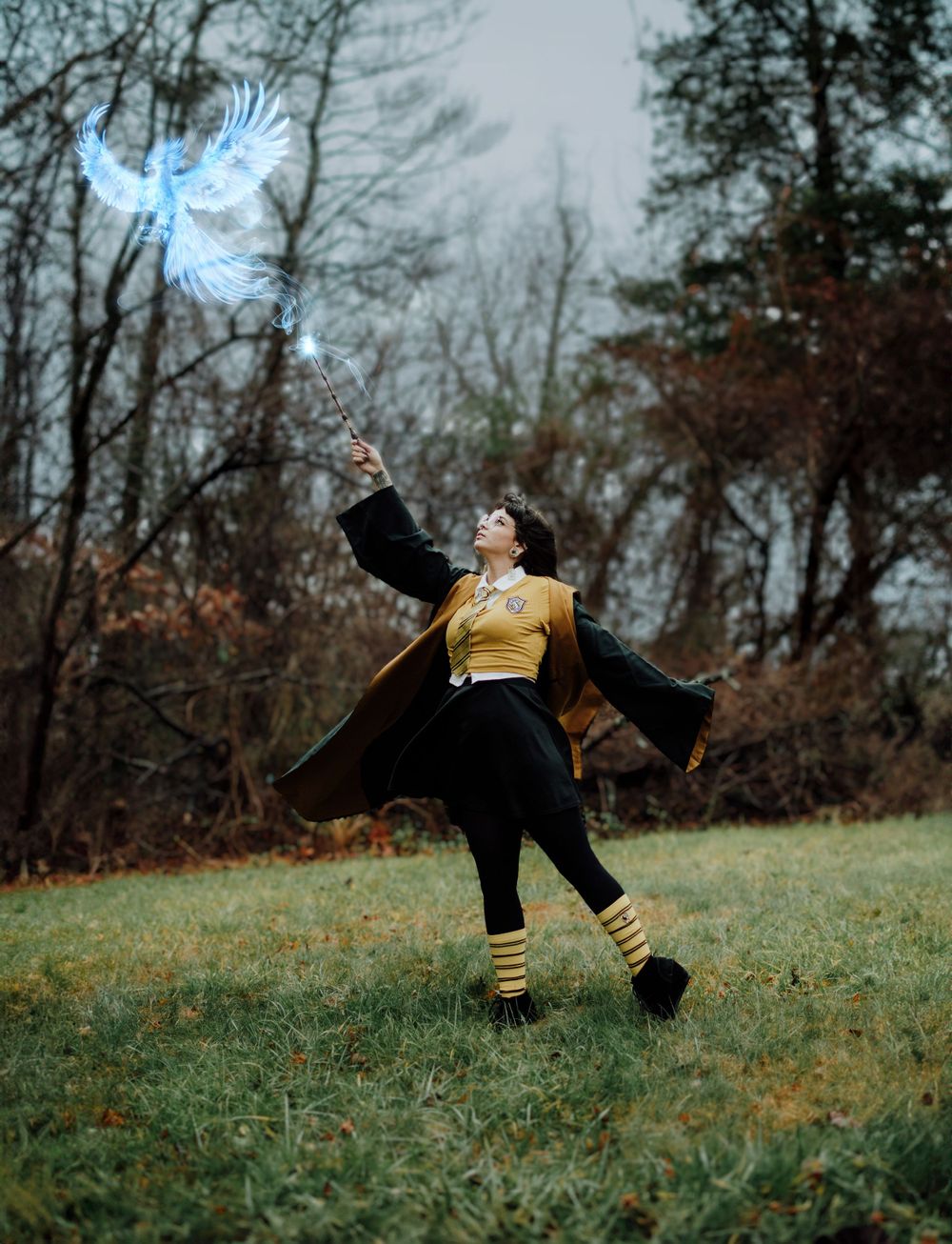 Creative Hufflepuff-themed portrait session inspired by Harry Potter, Asheville, North Carolina.