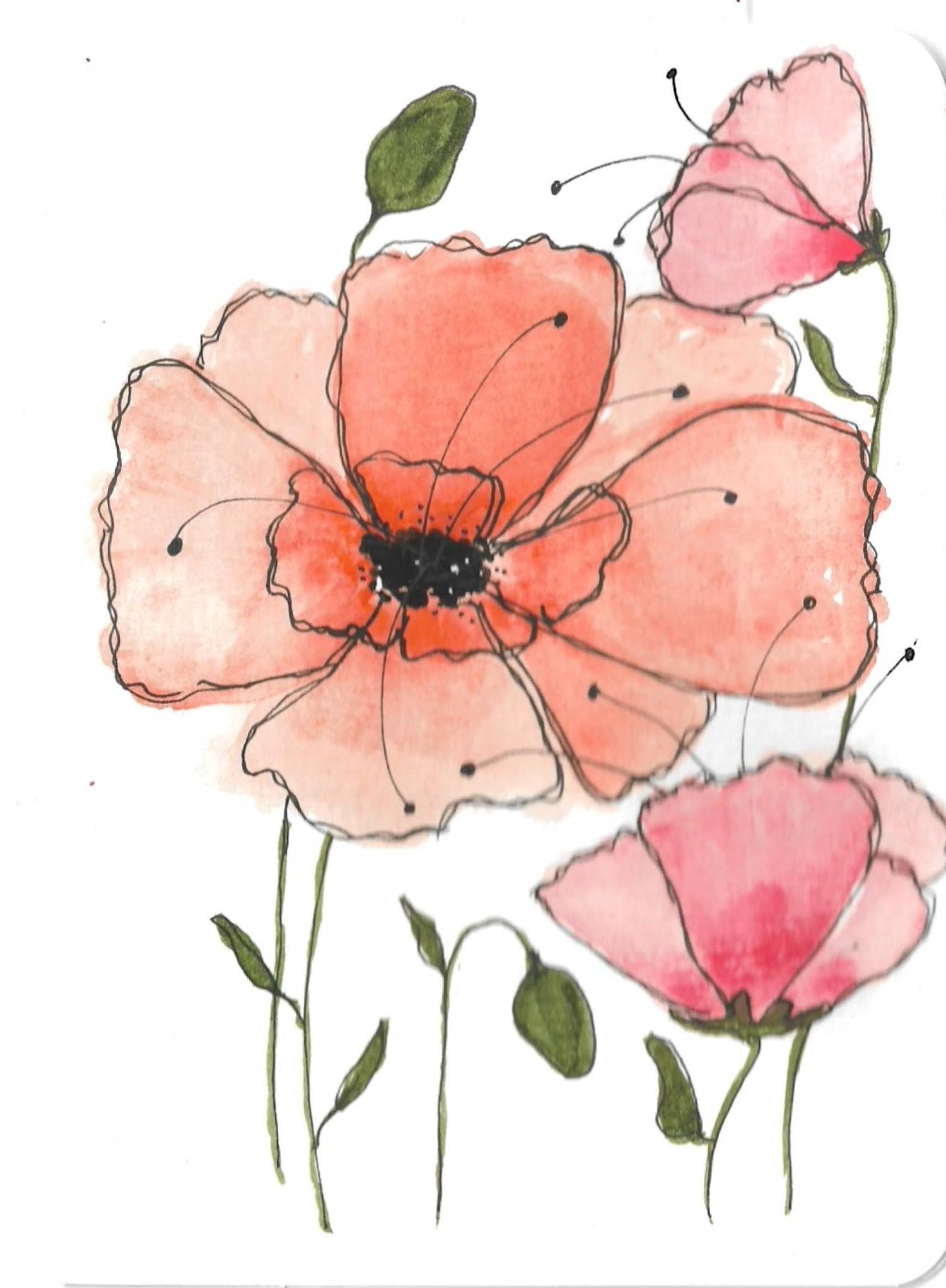 Soft coral and pink watercolor poppies with black centers painted in a loose, flowing style.