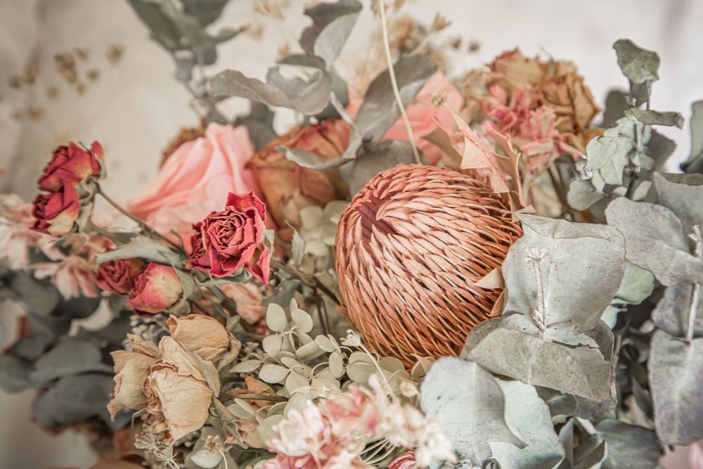 Beautiful dried flower arrangement featuring pink protea, coral roses, and soft eucalyptus leaves in muted pastel tones.