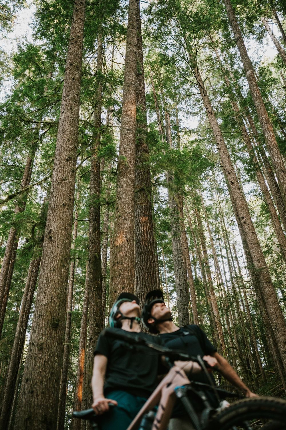 Couple adventure photography photoshoot on Vancouver Island of couple looking at trees on their mountain bikes in Cumberland