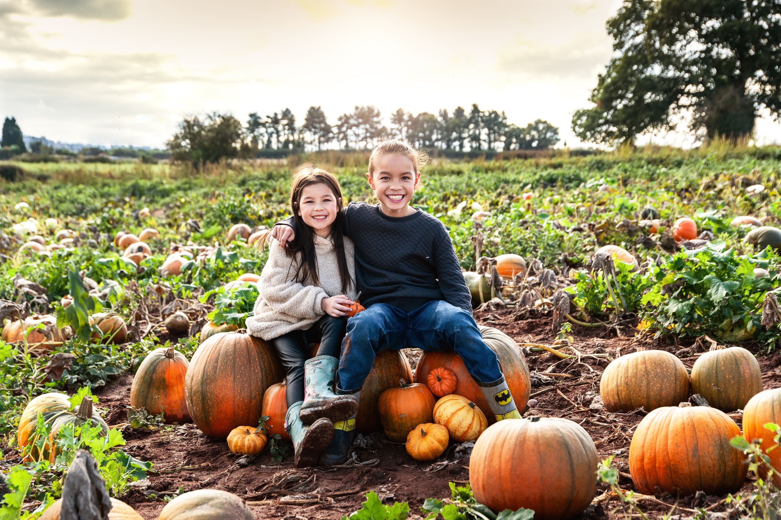 pumpkin field photoshoot by kara jade photography
