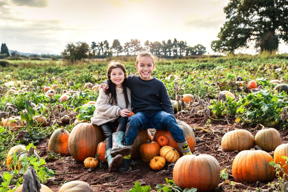 pumpkin field photoshoot by kara jade photography