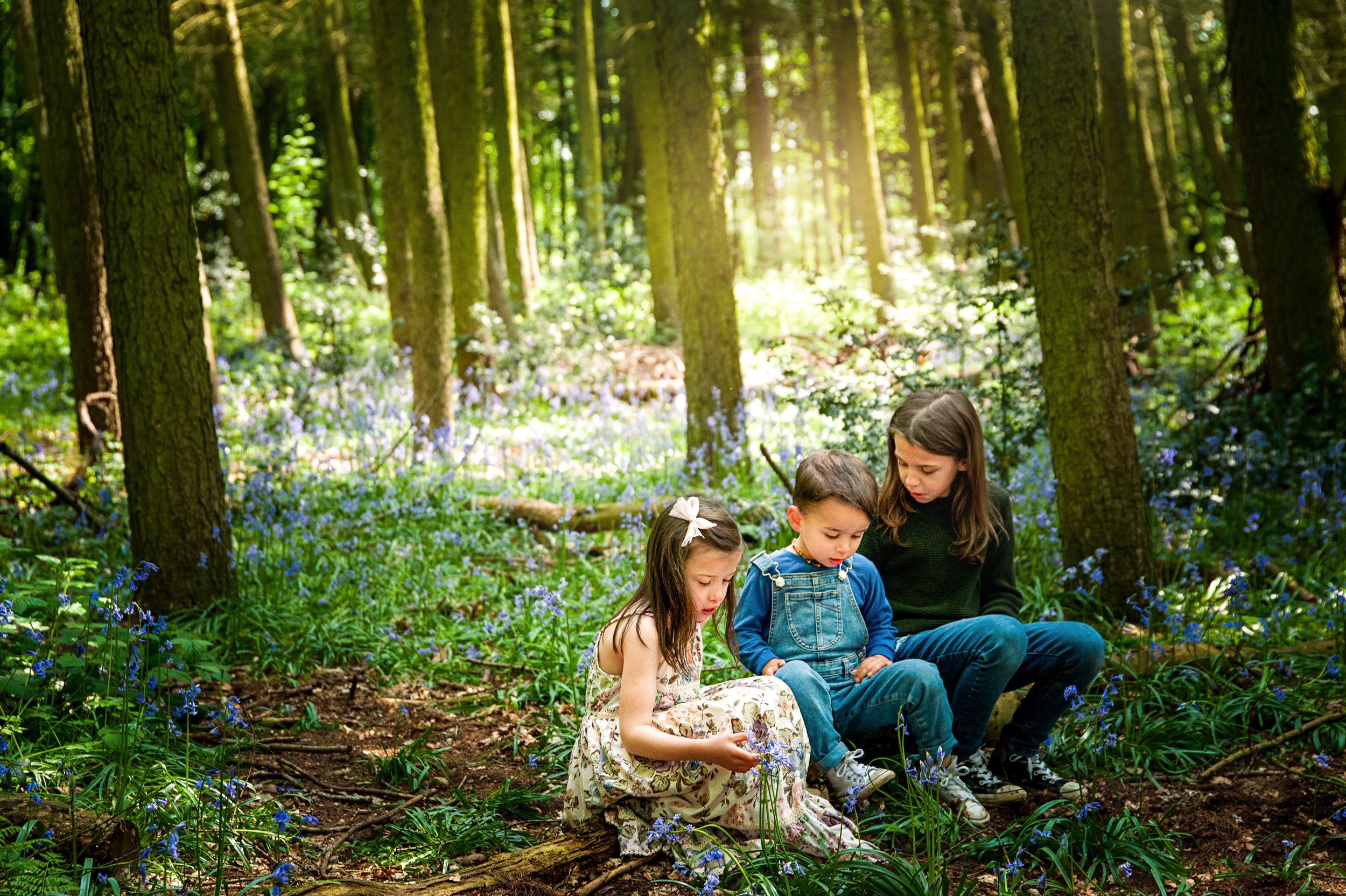 bluebell photoshoot by kara jade photography