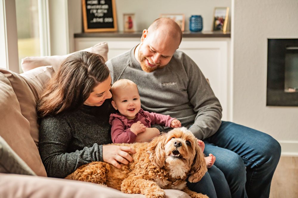 Cozy family moment on grey sofa with goldendoodle dog.
