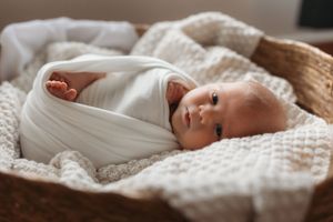 newborn photography Hawkesbury