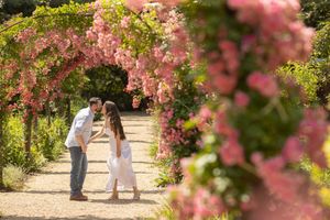 Romantic couple kisses beneath a stunning pink rose arch in a beautiful garden pathway.