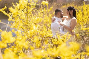 Couple embracing surrounded by vibrant yellow forsythia blooms outdoors.