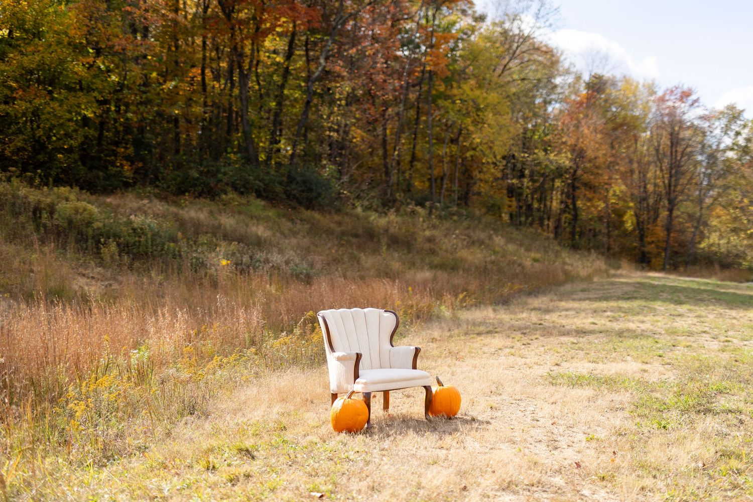 Wooden chair with two orange pumpkins in a sunny autumn meadow with colorful fall foliage trees in background.
