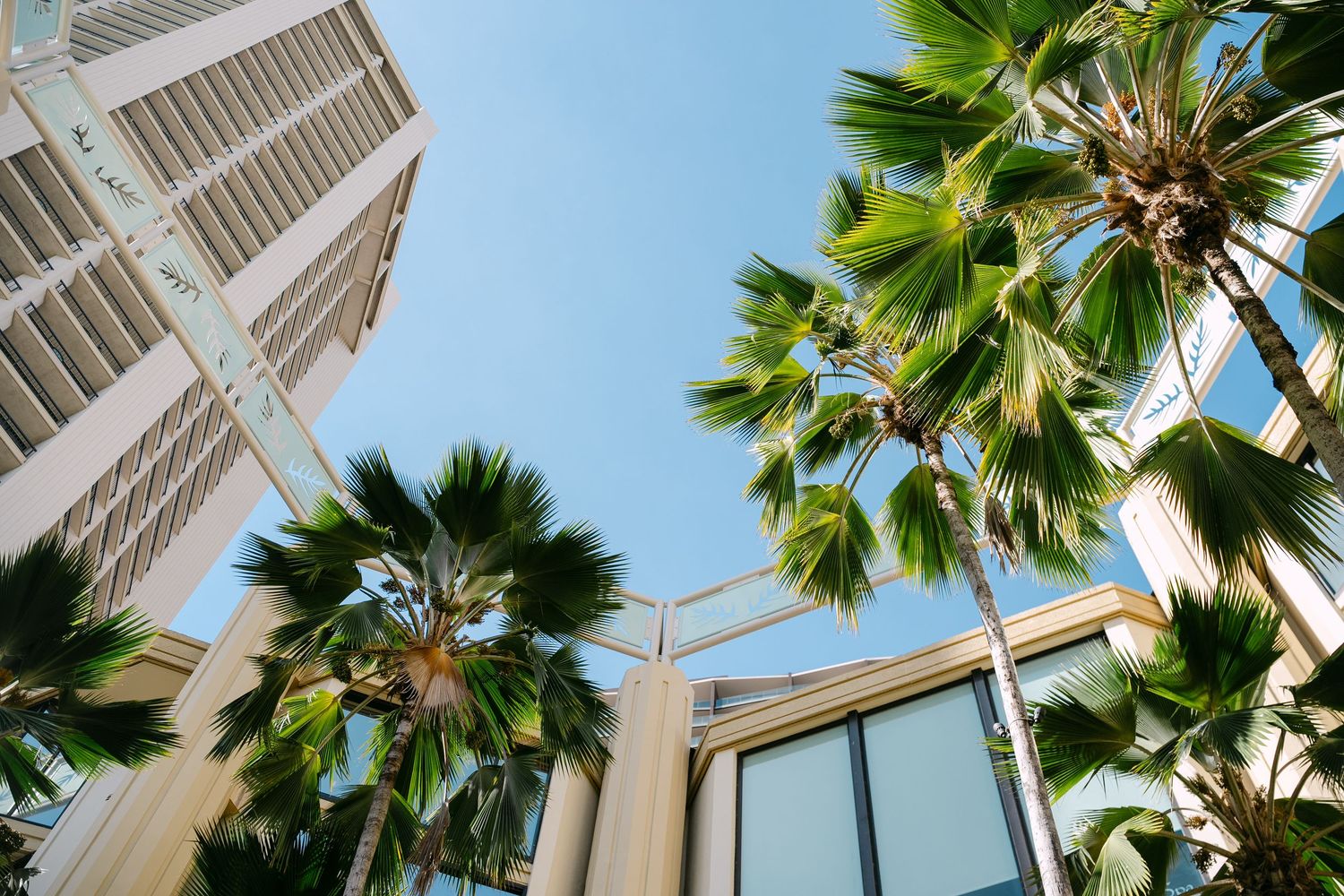 Low-angle view of tall palm trees between modern glass buildings against a clear blue sky.
