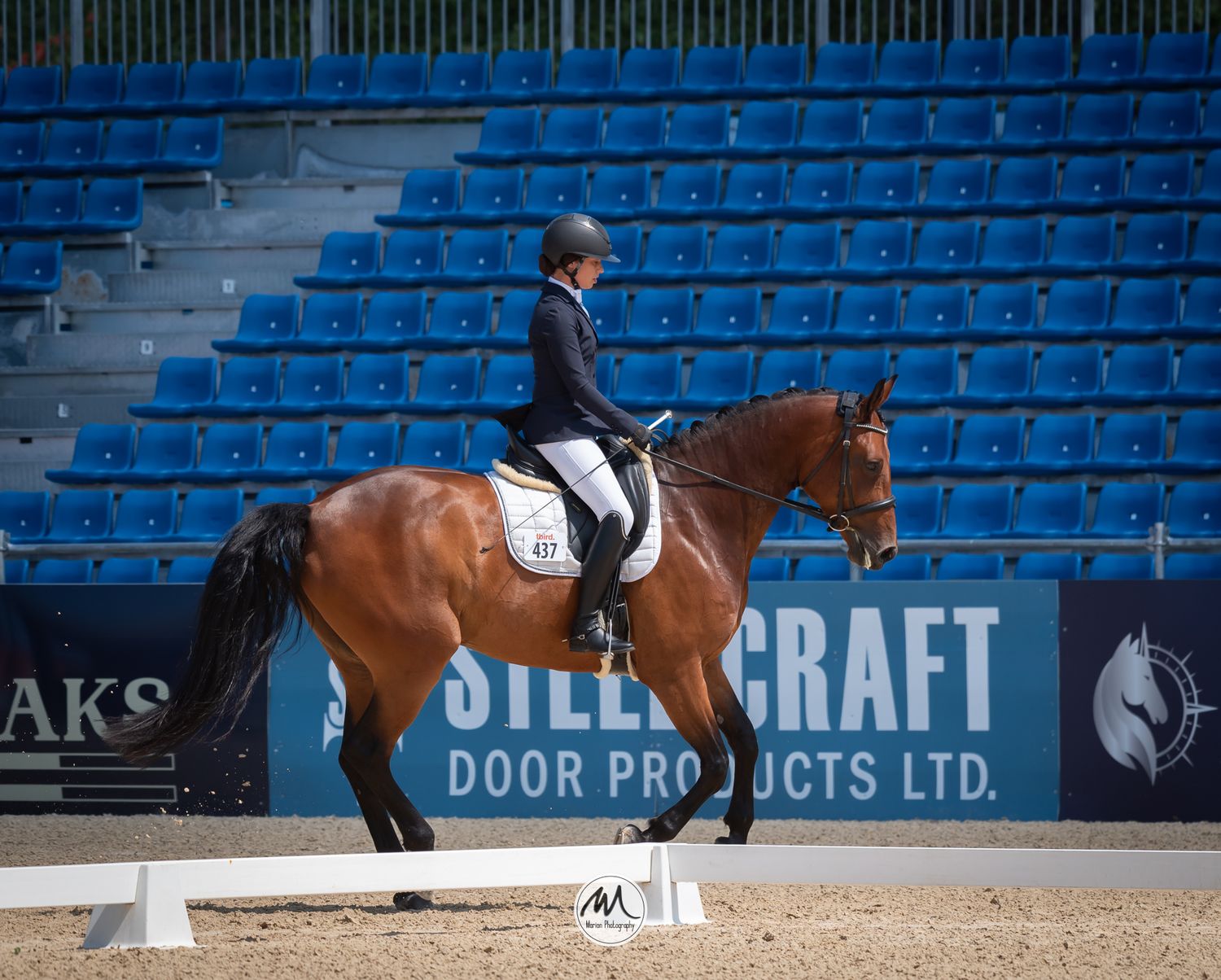 Equestrian rider on a chestnut horse performing dressage in an arena with blue stadium seating.