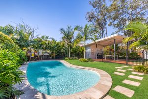 Inviting kidney-shaped backyard pool surrounded by tropical palms and lush garden landscaping.
