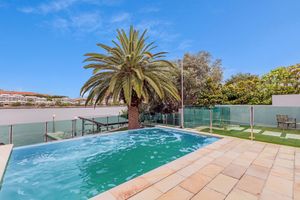 Outdoor swimming pool with glass fencing, palm tree backdrop, and clear blue sky.