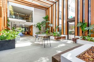 Stunning indoor atrium with timber battens, lush plants, and contemporary outdoor furniture.