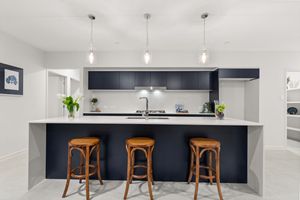 Contemporary kitchen with navy blue island bench, timber bar stools, and elegant pendant lighting.