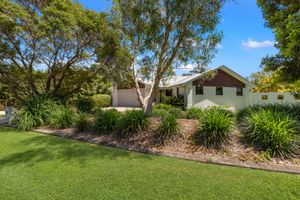 Charming white ranch-style home surrounded by mature eucalyptus trees and manicured lawn gardens.